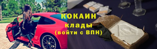 spice Абаза